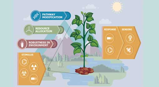 DARPA, US, sply plants