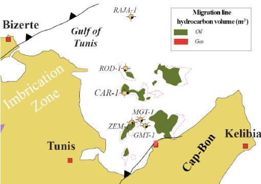 Large oil and gas reserves found in Libya and Tunisia – US government department reports